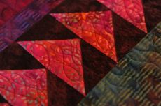 Close up of a Border on Evs Quilt.JPG